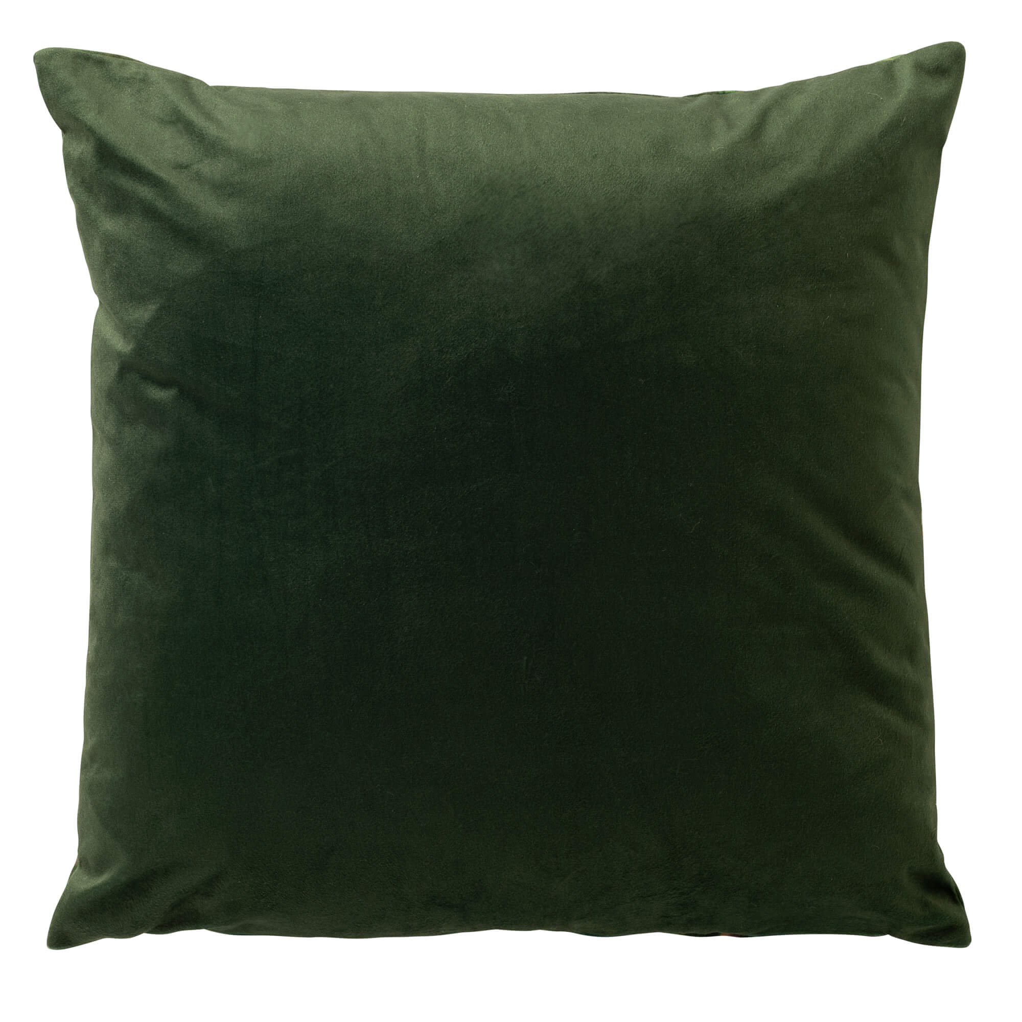 ALYSSA - Sierkussen 45x45 cm - Mayfly - groen